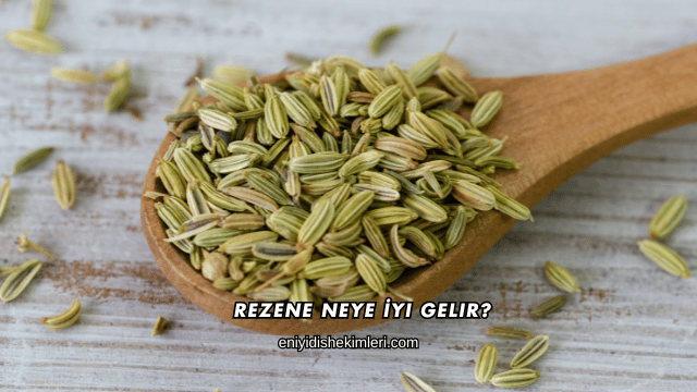 Rezene Neye İyi Gelir?
