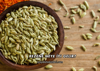 Rezene Neye İyi Gelir?