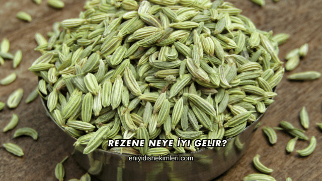 Rezene Neye İyi Gelir?