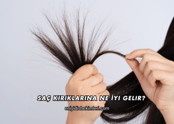 Saç Kırıklarına Ne İyi Gelir?