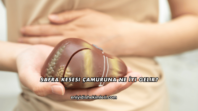 Safra Kesesi Çamuruna Ne İyi Gelir?