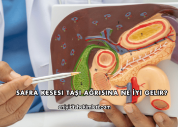 Safra Kesesi Taşı Ağrısına Ne İyi Gelir?