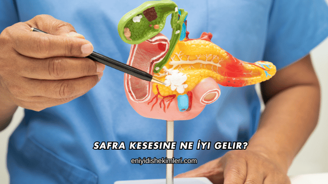 Safra Kesesine Ne İyi Gelir?