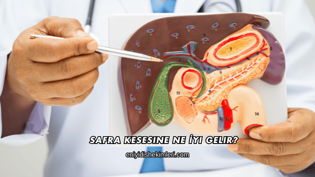 Safra Kesesine Ne İyi Gelir?