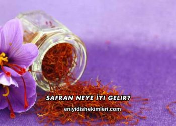 Safran Neye İyi Gelir?