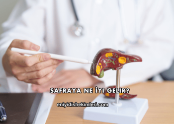Safraya Ne İyi Gelir?