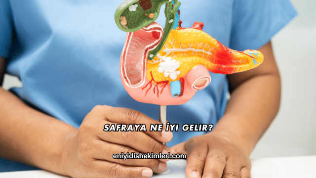 Safraya Ne İyi Gelir?