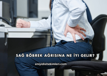 Sağ Böbrek Ağrısına Ne İyi Gelir?