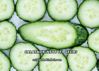 Salatalık Neye İyi Gelir?
