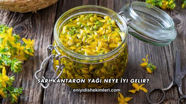 Sarı Kantaron Yağı Neye İyi Gelir?