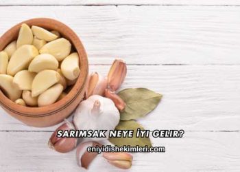 Sarımsak Neye İyi Gelir?