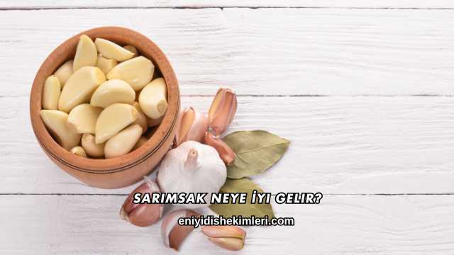 Sarımsak Neye İyi Gelir?