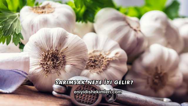 Sarımsak Neye İyi Gelir?