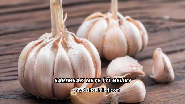 Sarımsak Neye İyi Gelir?