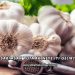 Sarımsak Yutmak Neye İyi Gelir?