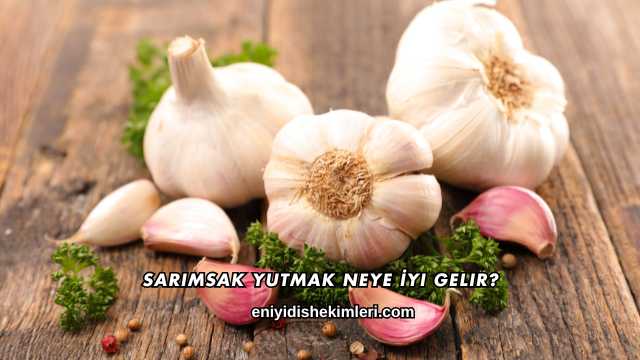 Sarımsak Yutmak Neye İyi Gelir?