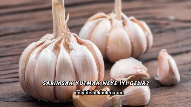 Sarımsak Yutmak Neye İyi Gelir?
