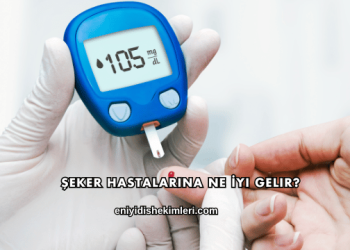Şeker Hastalarına Ne İyi Gelir?