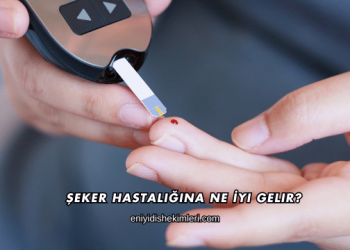 Şeker Hastalığına Ne İyi Gelir?
