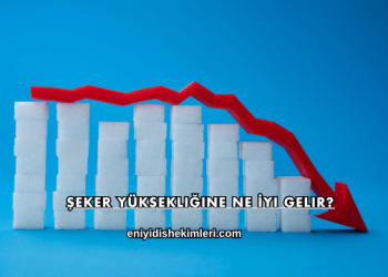 Şeker Yüksekliğine Ne İyi Gelir?