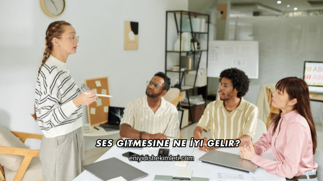 Ses Gitmesine Ne İyi Gelir?