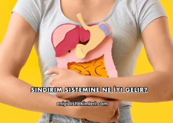 Sindirim Sistemine Ne İyi Gelir?