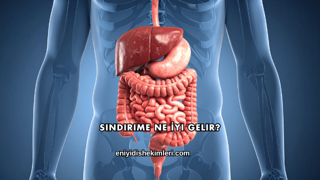 Sindirime Ne İyi Gelir?