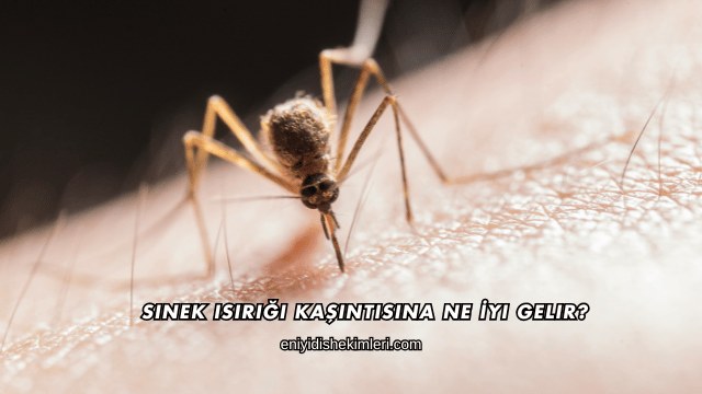 Sinek Isırığı Kaşıntısına Ne İyi Gelir?