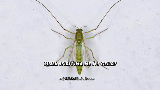 Sinek Isırığına Ne İyi Gelir?