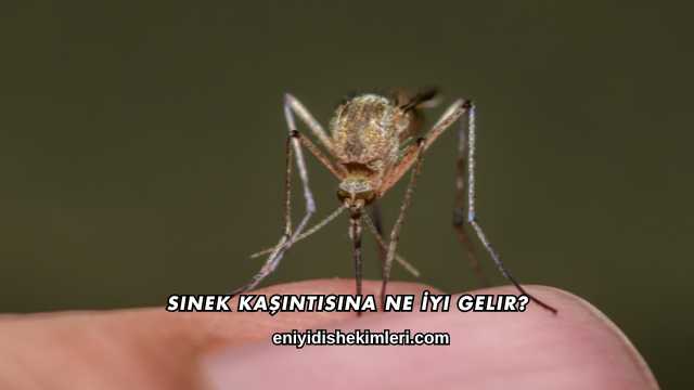 Sinek Kaşıntısına Ne İyi Gelir?