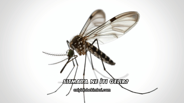 Sıtmaya Ne İyi Gelir?