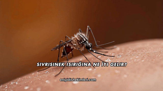 Sivrisinek Isırığına Ne İyi Gelir?