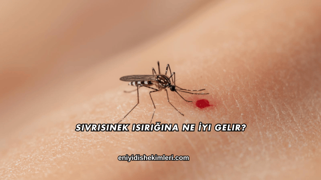 Sivrisinek Isırığına Ne İyi Gelir?