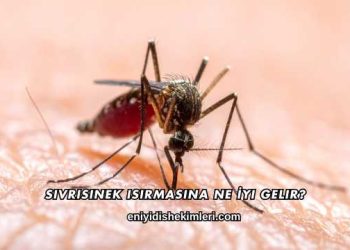 Sivrisinek Isırmasına Ne İyi Gelir?