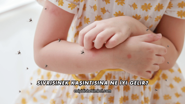 Sivrisinek Kaşıntısına Ne İyi Gelir?