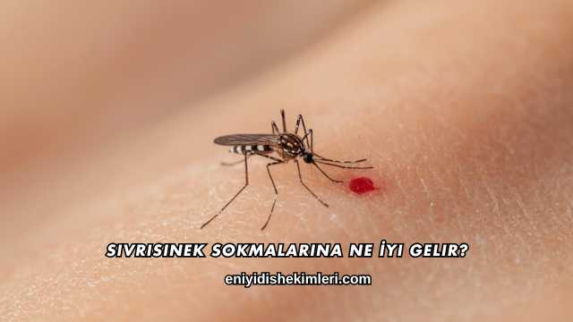 Sivrisinek Sokmalarına Ne İyi Gelir?