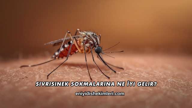 Sivrisinek Sokmalarına Ne İyi Gelir?