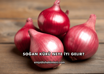 Soğan Kürü Neye İyi Gelir?