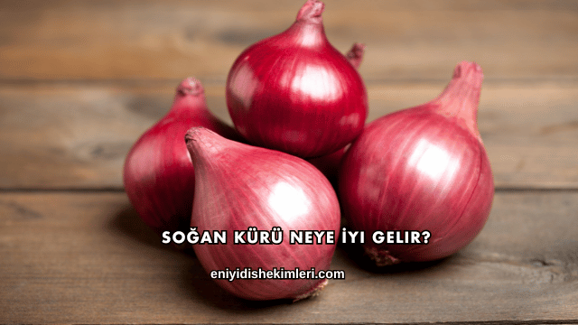 Soğan Kürü Neye İyi Gelir?