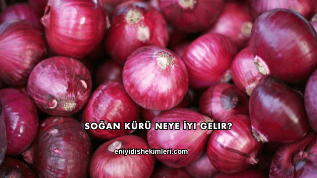 Soğan Kürü Neye İyi Gelir?