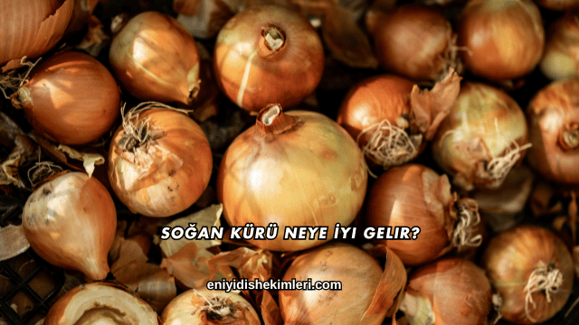 Soğan Kürü Neye İyi Gelir?