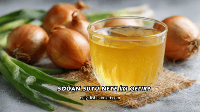 Soğan Suyu Neye İyi Gelir?