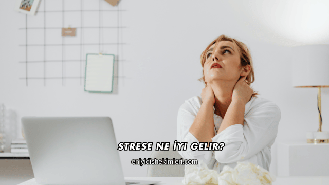 Strese Ne İyi Gelir?