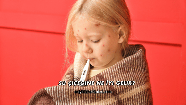 Su Çiçeğine Ne İyi Gelir?