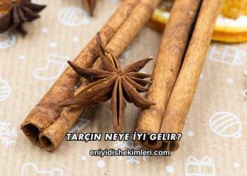 Tarçın Neye İyi Gelir?