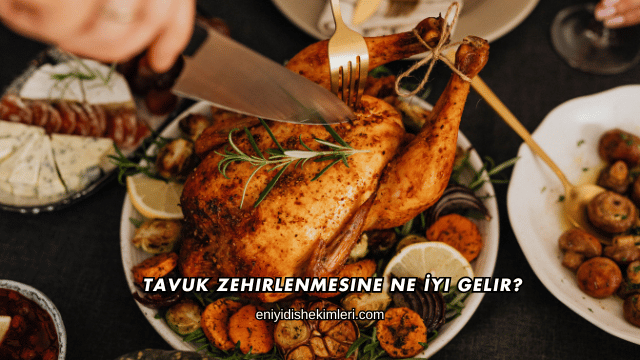 Tavuk Zehirlenmesine Ne İyi Gelir?