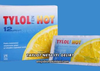 Taylot Neye İyi Gelir?