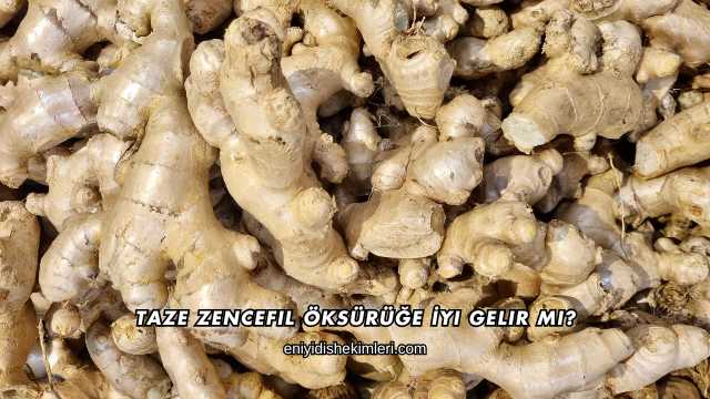 Taze Zencefil Öksürüğe İyi Gelir mi?