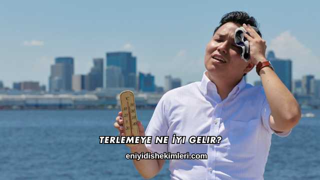 Terlemeye Ne İyi Gelir?