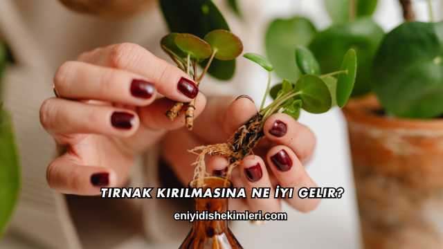 Tırnak Kırılmasına Ne İyi Gelir?